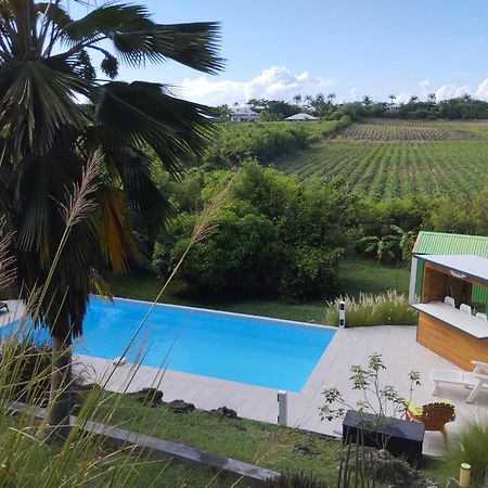 T2 Jardin Clos Les Nids De La Colline Saint-Francois  Bagian luar foto