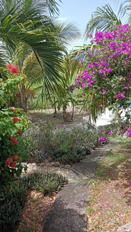 T2 Jardin Clos Les Nids De La Colline Saint-Francois  Bagian luar foto
